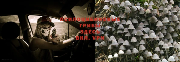 apvp Лиски
